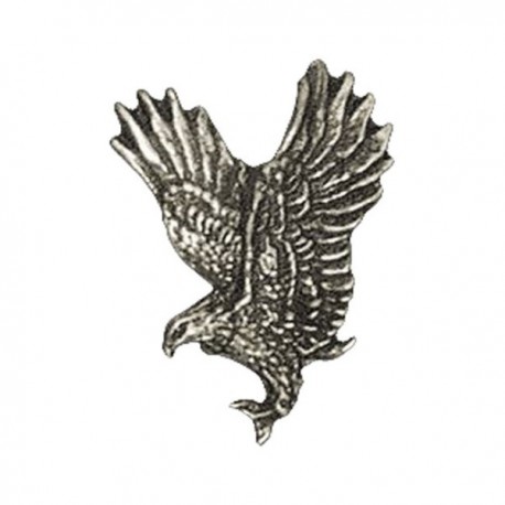 pin-hunting-eagle