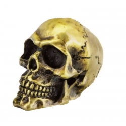 BLACK GENUINE SKULL WITH SCREWS